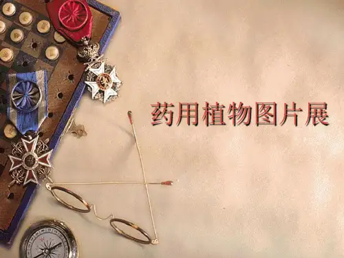 药用植物图片大全