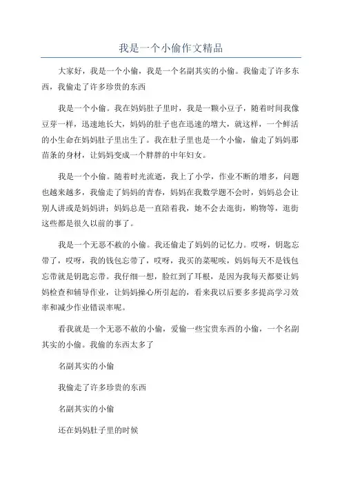 我是一个小偷作文精品