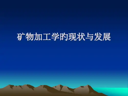 矿物加工学的现状与发展