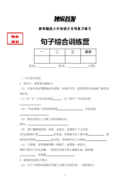 小升初语文句子综合训练专项练习含答案 (1)