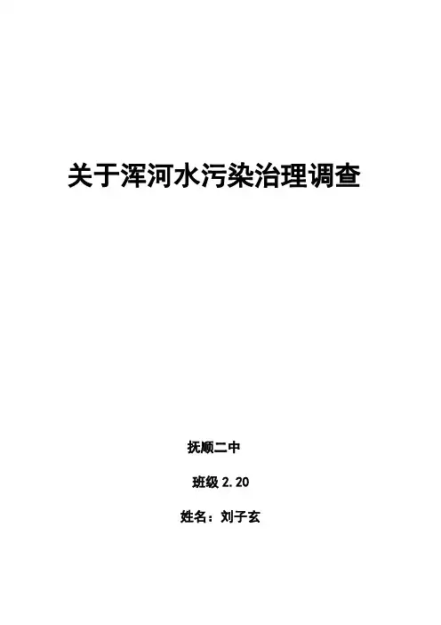关于浑河水污染治理调查报告