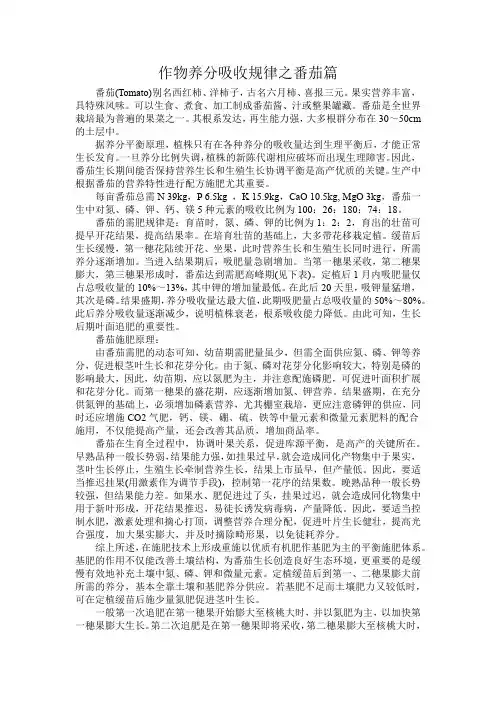 番茄的养分吸收规律