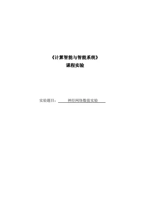 计算智能与智能系统课程实验2：神经网络数值实验