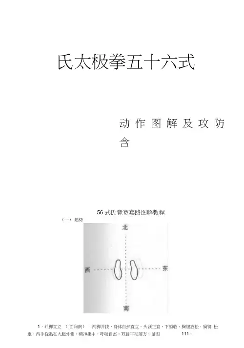 陈式太极拳56式动作现用图解及攻防含意