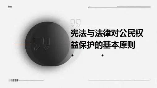 宪法与法律对公民权益保护的基本原则
