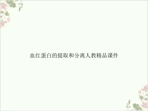 血红蛋白的提取和分离人教精品PPT.