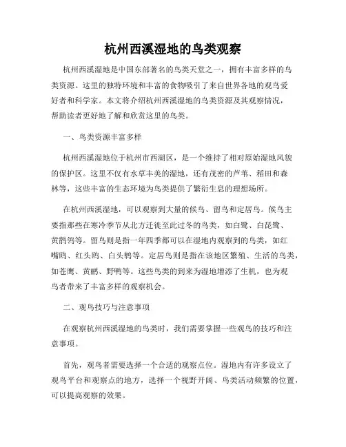 杭州西溪湿地的鸟类观察