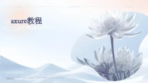 2024年度axure教程