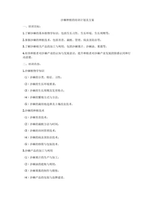 沙棘种植的培训计划及方案
