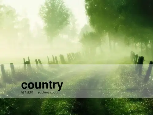 country music 乡村音乐介绍