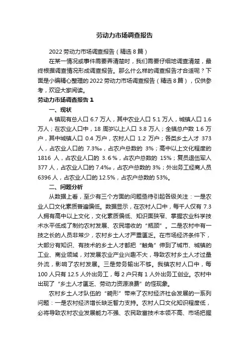 劳动力市场调查报告