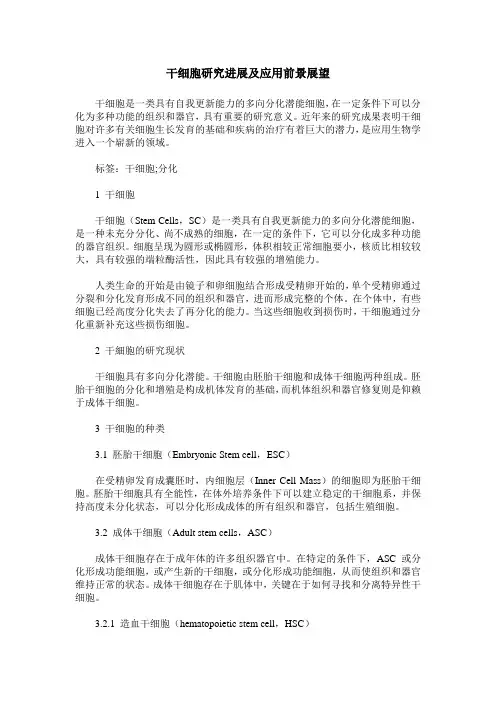 干细胞研究进展及应用前景展望