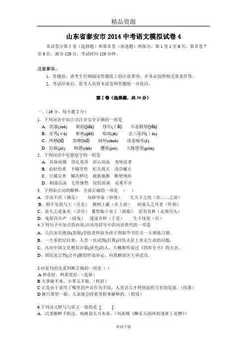 山东省泰安市2014中考语文模拟试卷4
