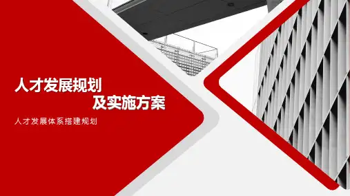 人才发展规划及项目方案ppt课件