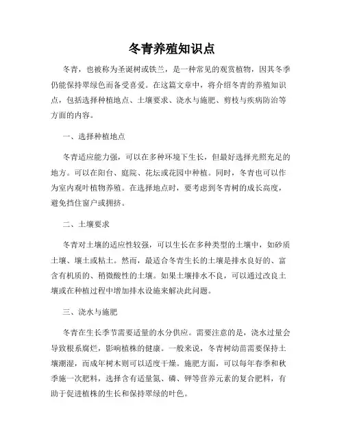冬青养殖知识点