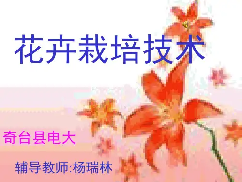 花卉栽培技术课件