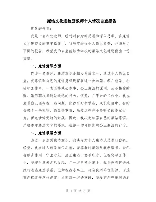 廉洁文化进校园教师个人情况自查报告