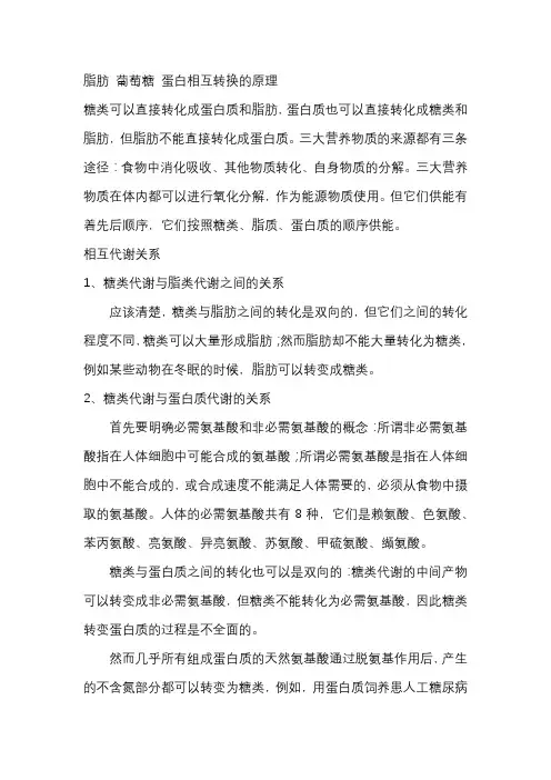 脂肪 葡萄糖 蛋白相互转换的原理