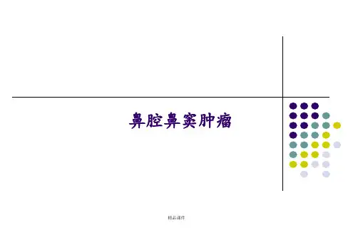 鼻颅底肿瘤(1)