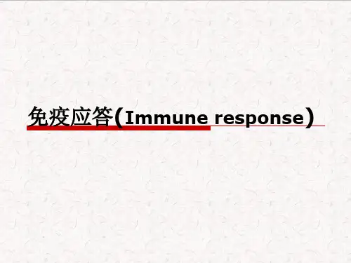 医学免疫学《免疫应答》课件