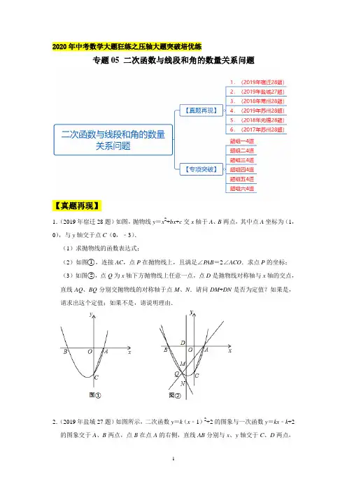 2020年中考数学压轴题突破专题5 二次函数与线段和角的数量关系问题