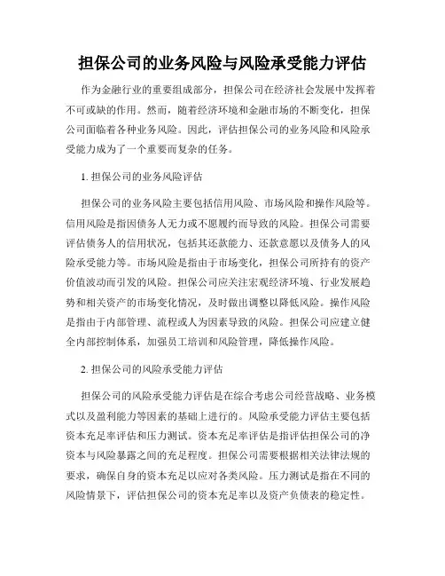 担保公司的业务风险与风险承受能力评估