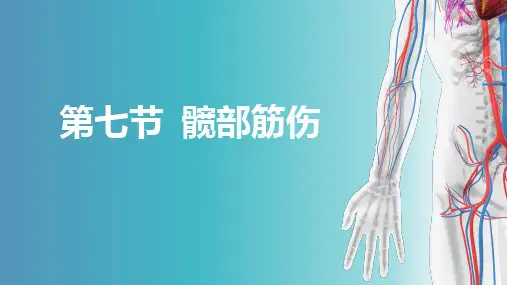 筋伤-髋部筋伤(中医骨伤科学十三五教材)