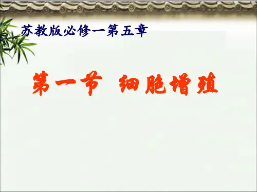 苏教版高中生物必修一第五章细胞增殖 课件  优秀课件资料