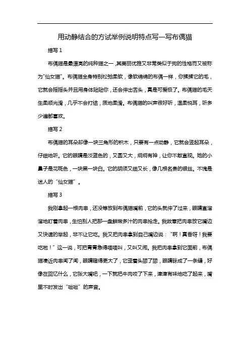 用动静结合的方试举例说明特点写一写布偶猫