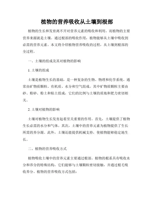 植物的营养吸收从土壤到根部