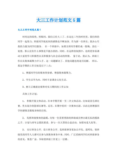 大三工作计划范文5篇.doc