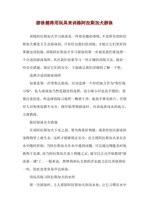游泳健将 用玩具来训练阿拉斯加犬游泳