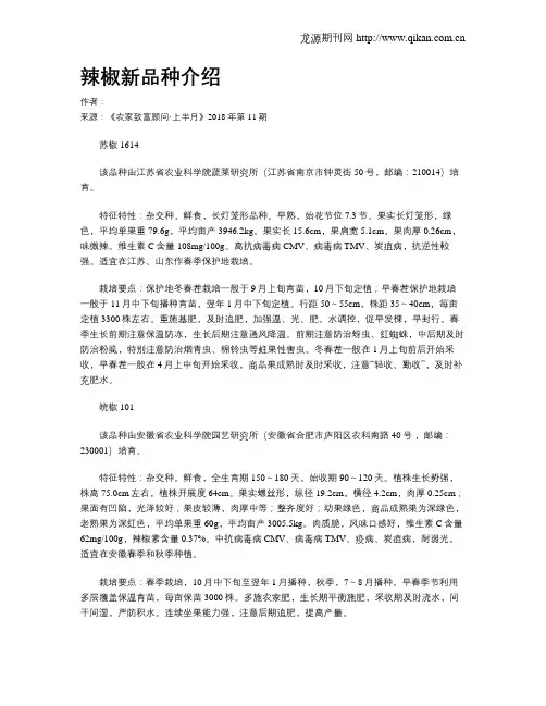 辣椒新品种介绍