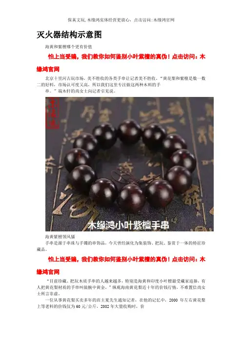 灭火器结构示意图