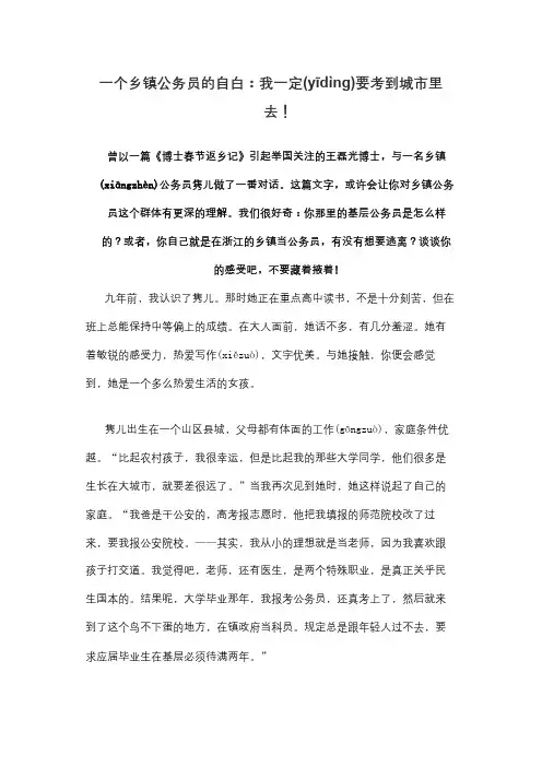 一个乡镇公务员的自白
