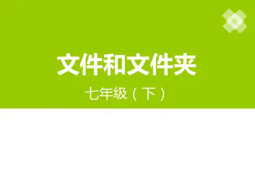 文件和文件夹ppt课件
