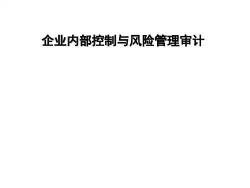 企业内部控制与风险管理审计教材(PPT 65页)