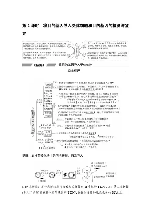 20-21版：3.2.2 将目的基因导入受体细胞和目的基因的检测与鉴定（创新设计）