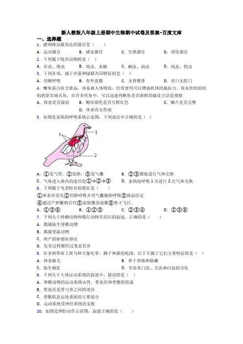 新人教版八年级上册期中生物期中试卷及答案-百度文库