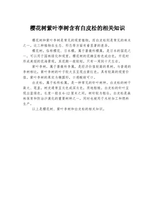 樱花树紫叶李树含有白皮松的相关知识