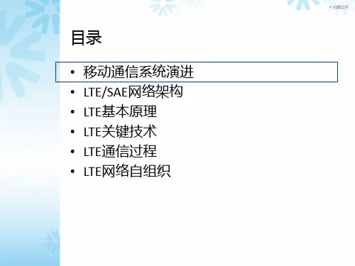 LTE系统概述解析