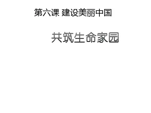 人教版道德与法治九年级上册第三单元共筑生命家园