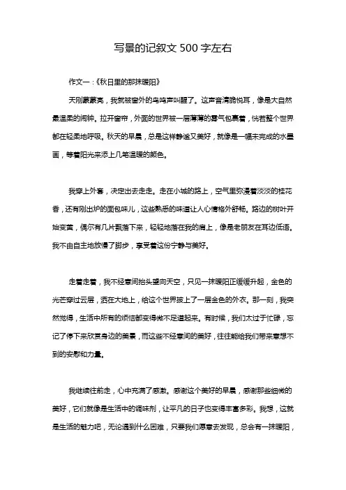 写景的记叙文500字左右