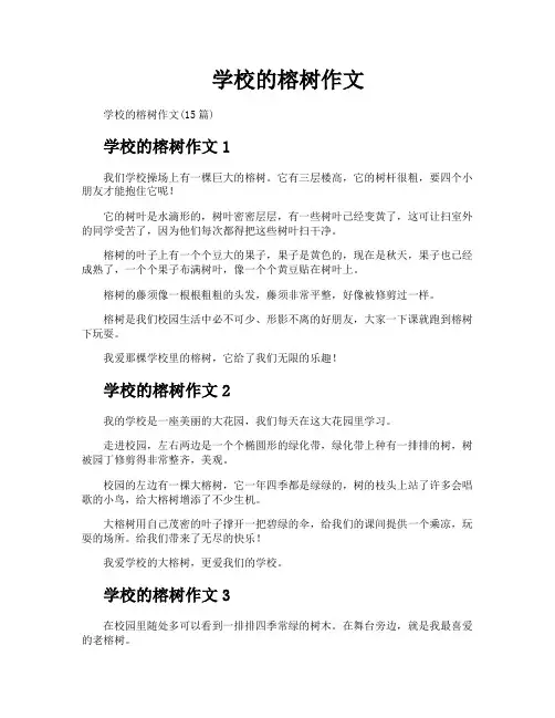 学校的榕树作文
