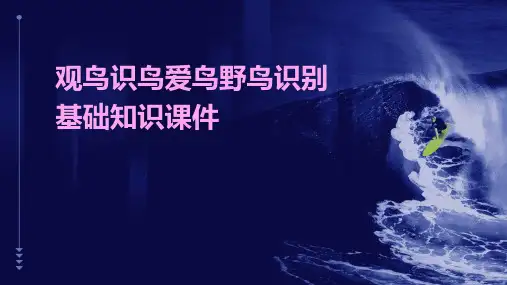 观鸟识鸟爱鸟野鸟识别基础知识课件