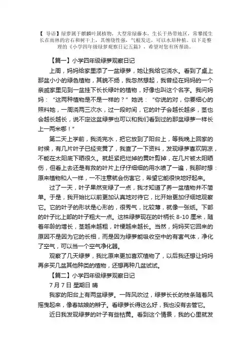 小学四年级绿萝观察日记五篇