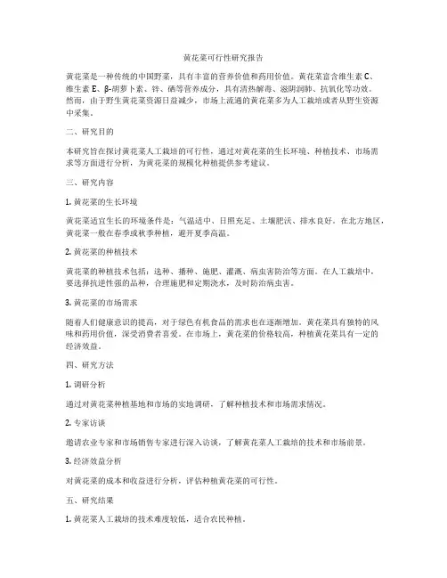 黄花菜可行性研究报告