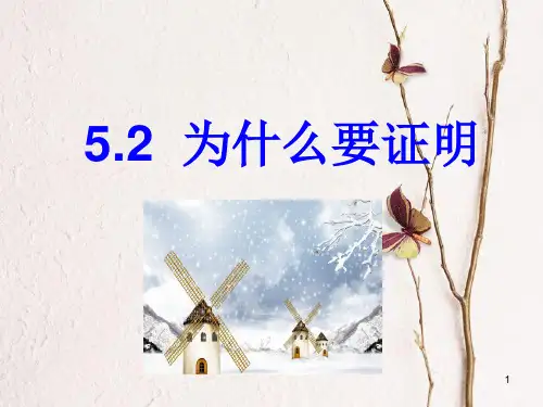 山东省潍坊高新技术产业开发区八年级数学上册 5.2 为什么要证明课件 (新版)青岛版.ppt