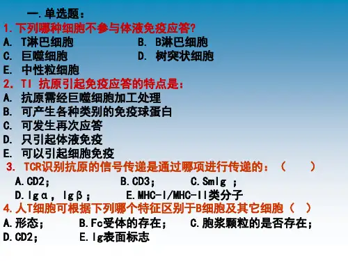 第十九章超敏反应课件