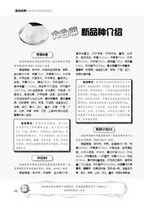 大白菜新品种介绍